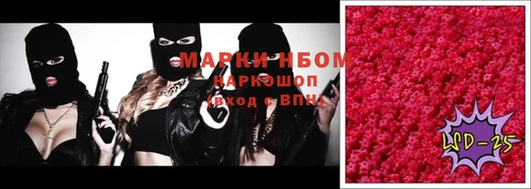 ECSTASY Бородино