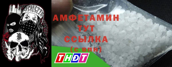 ECSTASY Бородино