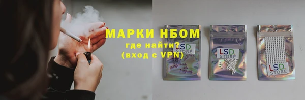 ECSTASY Бородино