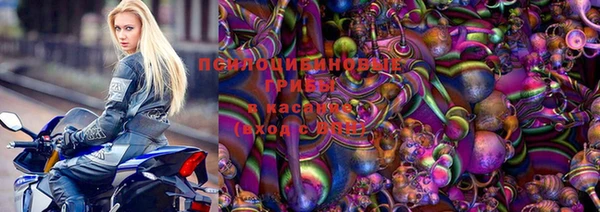 ECSTASY Бородино