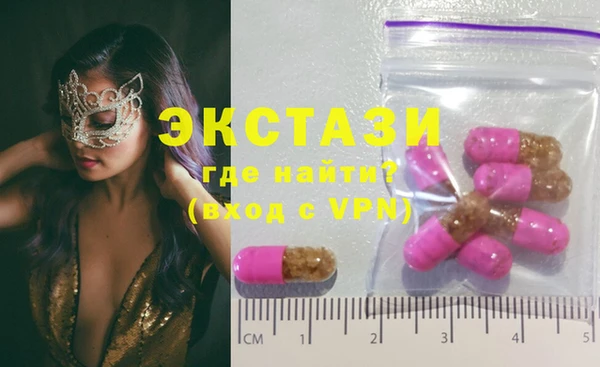 ECSTASY Бородино