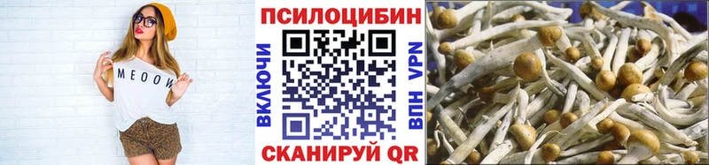 Купить  Ленинск  Галлюциногенные грибы Magic Shrooms 